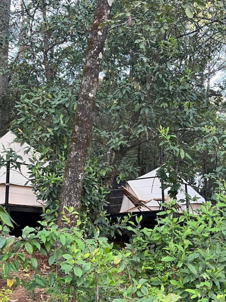 Hotel Oxu Solo Adultos Valle de Bravo Eksteriør bilde